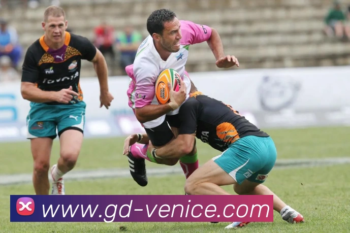 威尼斯人官网平台生态图